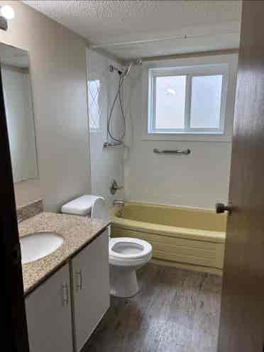 Bachelor Suite/ Studio
