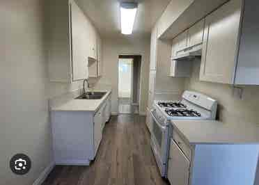 Looking for a roommate