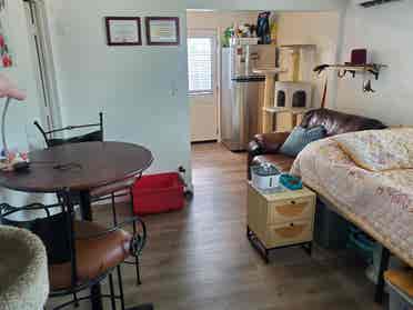 Looking for a roomate