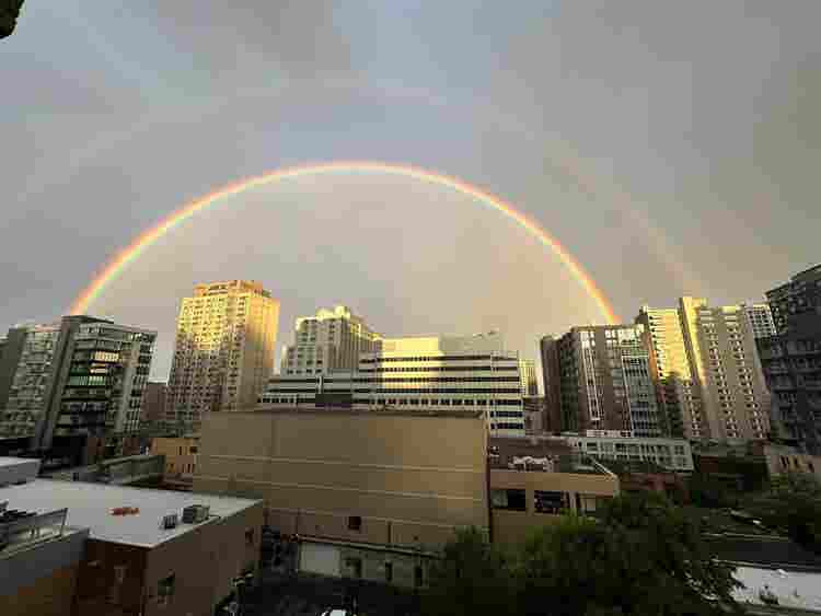1 Bedroom Unit in Downtown Montreal