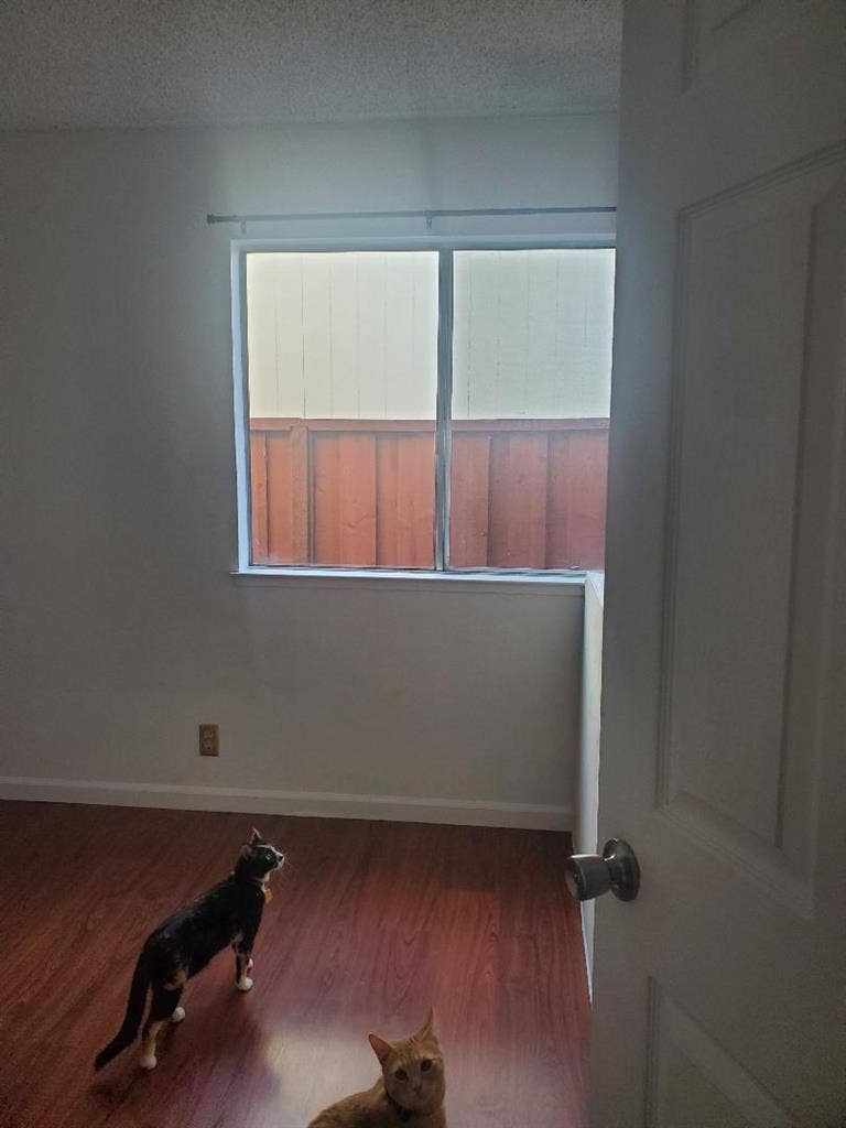 Room for Rent – Tully & Lucretia