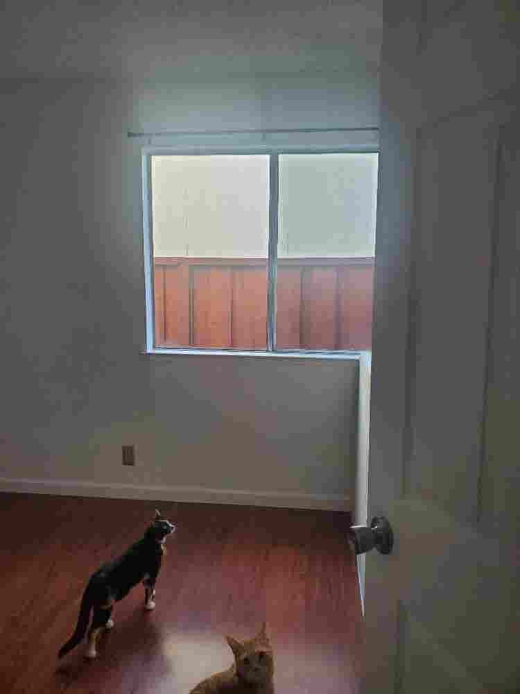 Room for Rent – Tully & Lucretia