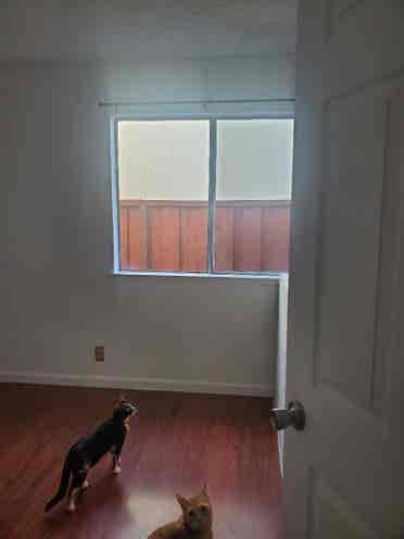 Room for Rent – Tully & Lucretia