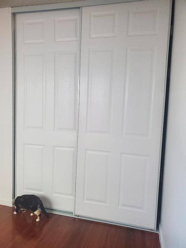 Room for Rent – Tully & Lucretia