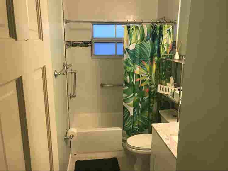 Pet friendly tropical oasis