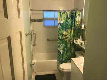 Pet friendly tropical oasis