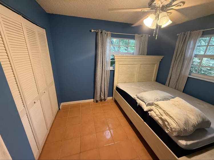Pet friendly tropical oasis