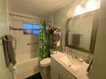 Pet friendly tropical oasis