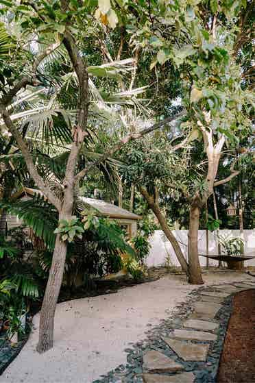 Pet friendly tropical oasis