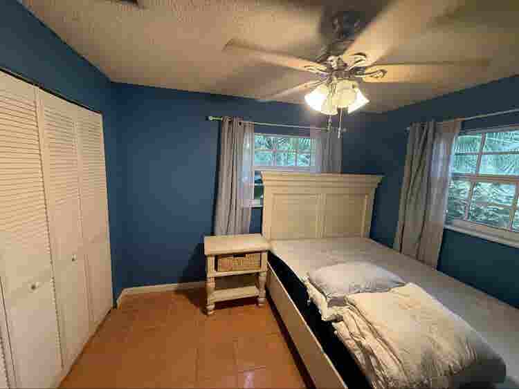 Pet friendly tropical oasis