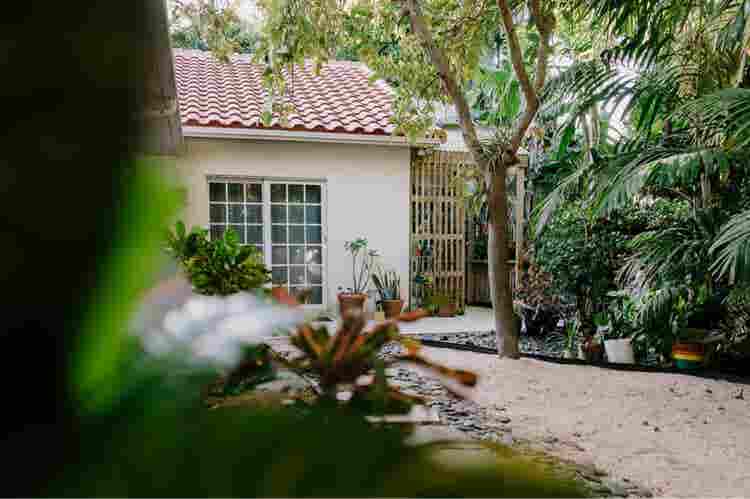 Pet friendly tropical oasis