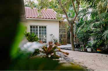 Pet friendly tropical oasis