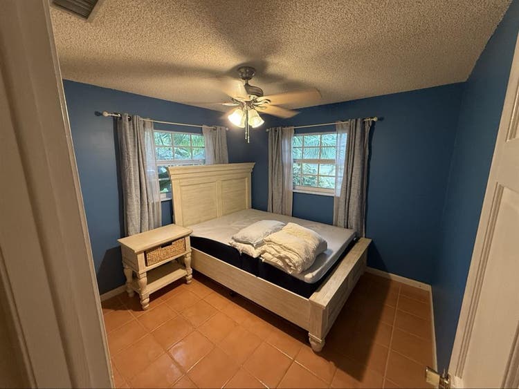Pet friendly tropical oasis