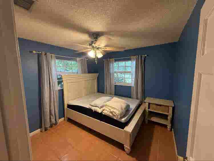 Pet friendly tropical oasis