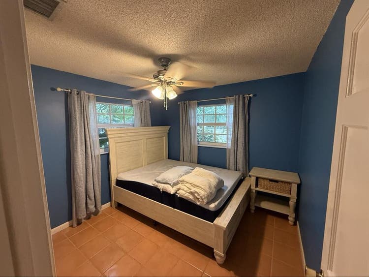 Pet friendly tropical oasis