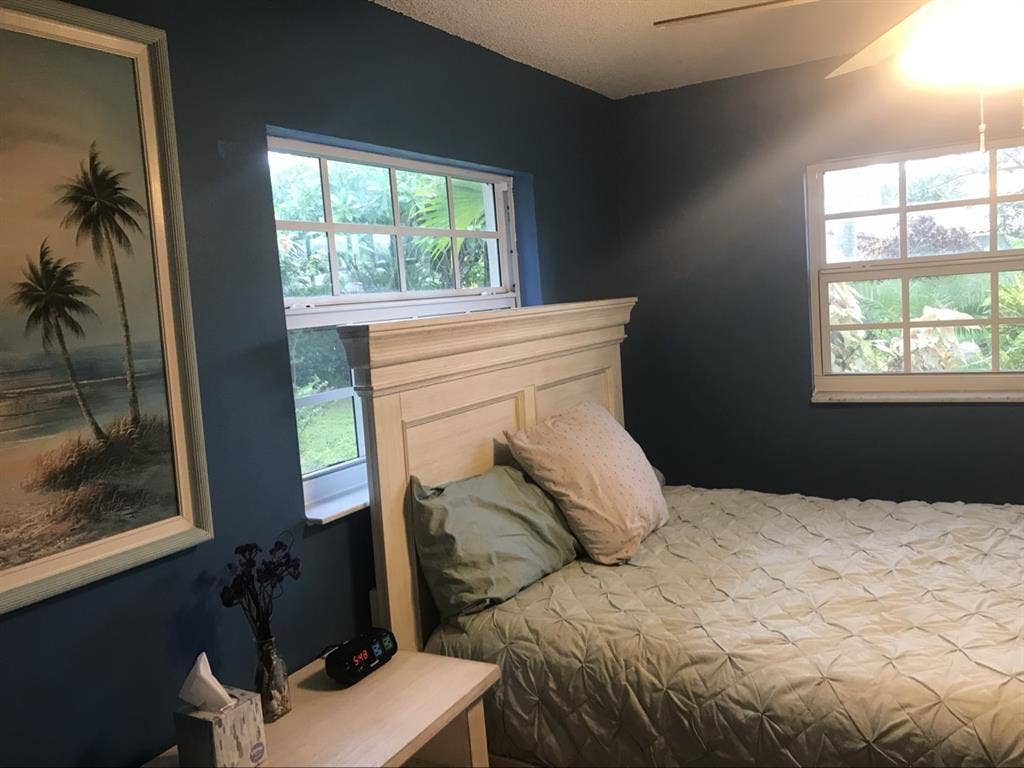 Pet friendly tropical oasis