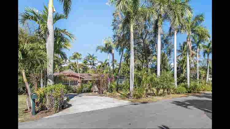 Pet friendly tropical oasis