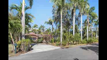 Pet friendly tropical oasis