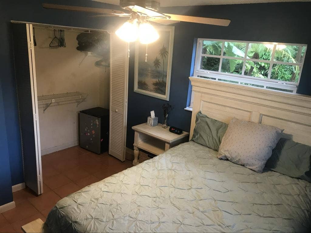 Pet friendly tropical oasis