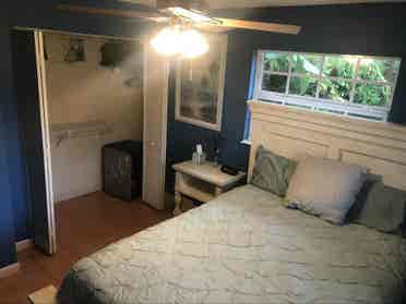 Pet friendly tropical oasis