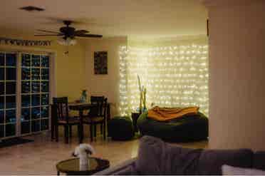 Pet friendly tropical oasis