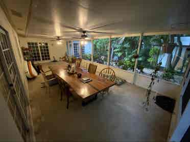 Pet friendly tropical oasis