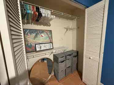 Pet friendly tropical oasis