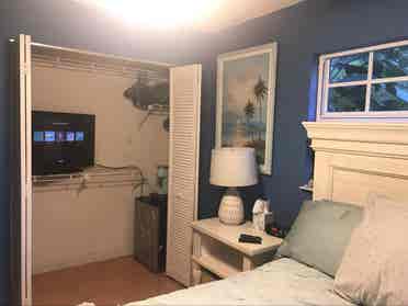 Pet friendly tropical oasis