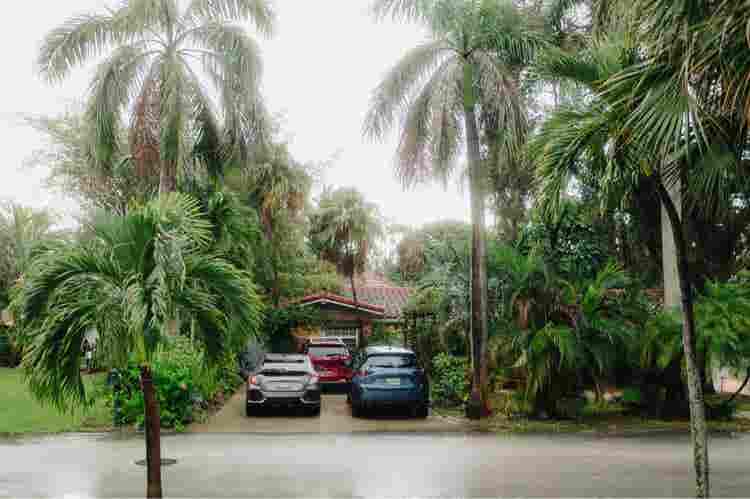 Pet friendly tropical oasis