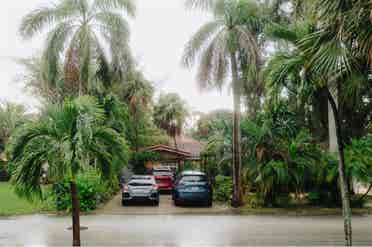 Pet friendly tropical oasis