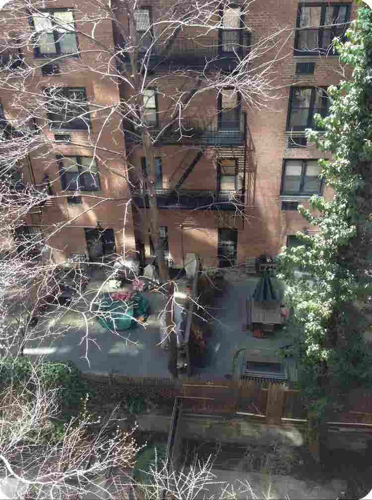 Stylish & Cozy 1 Bedroom Apartment
