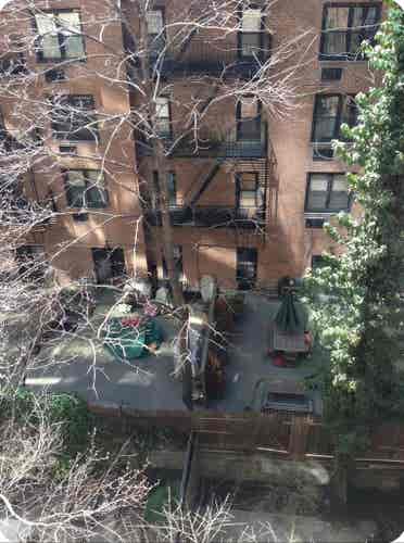 Stylish & Cozy 1 Bedroom Apartment