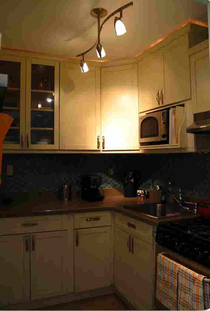 Stylish & Cozy 1 Bedroom Apartment