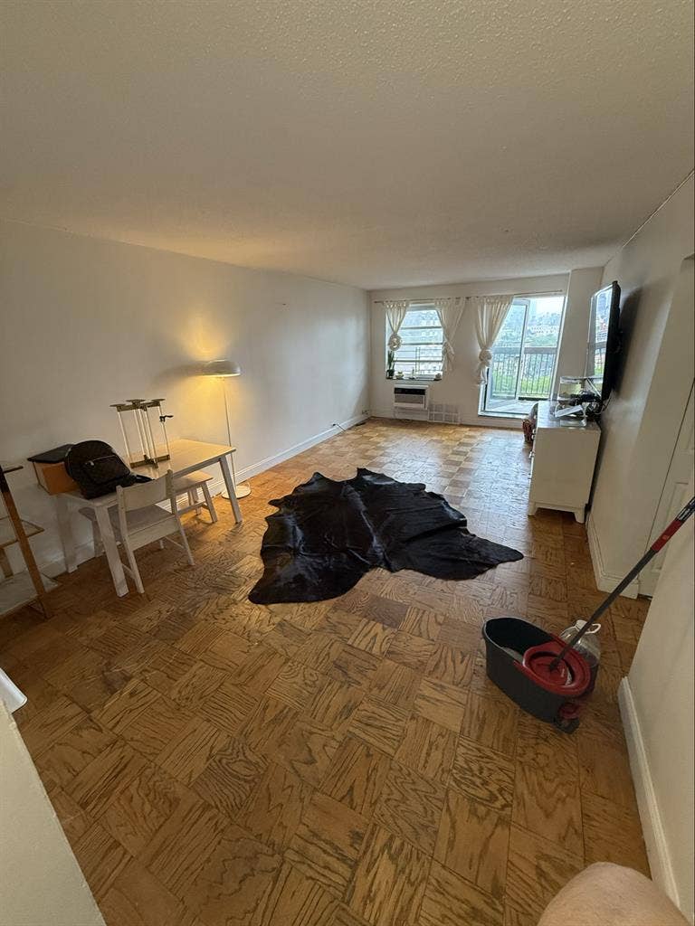 Huge 1 bedroom in Manhattan LES