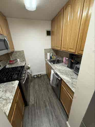 Huge 1 bedroom in Manhattan LES
