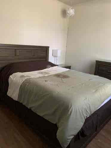 Furnished room w/ private bathroom