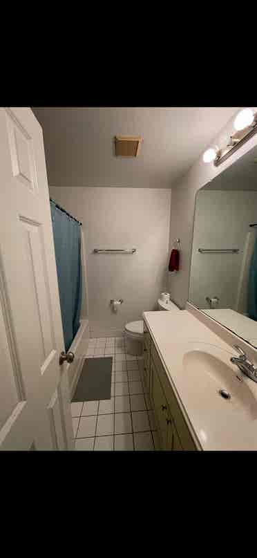 Large room in North Loop, Austin