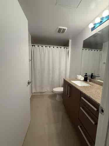 Room in Miami River brikell