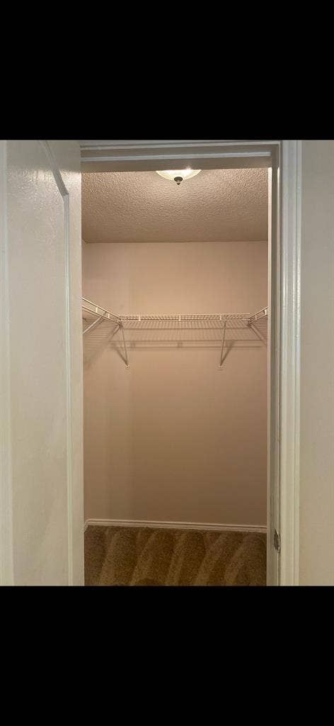 I need a roommate in two weeks!!!!!