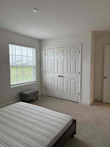 Looking for a female roommate