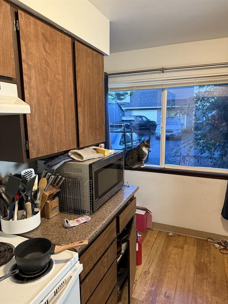 Immediate Move-In Available