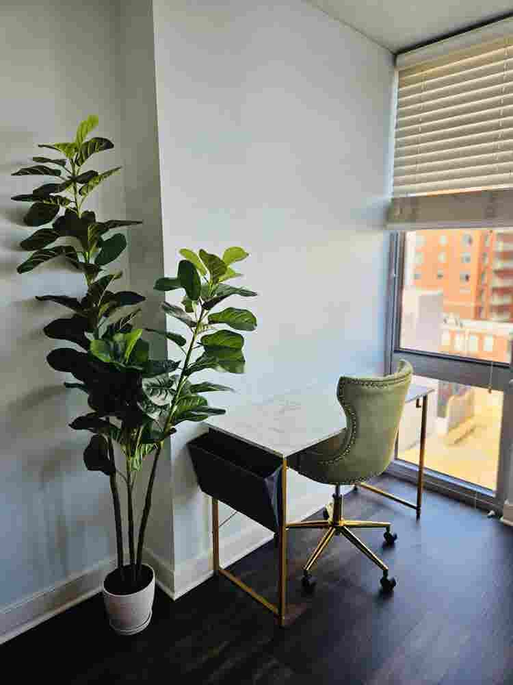 Where Comfort Meets Convenience