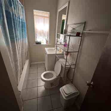 Room for Rent -great Location