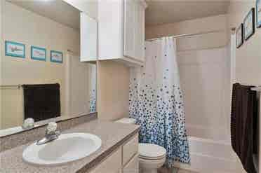 Looking for a sweet female roomie