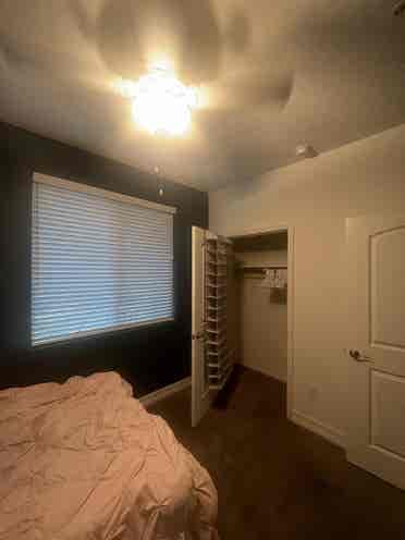 Roommate Wanted!