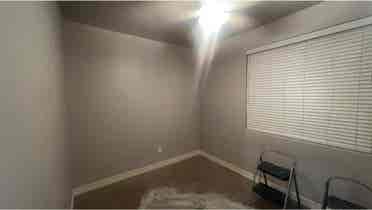 Roommate Wanted!