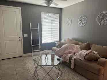 Roommate Wanted!