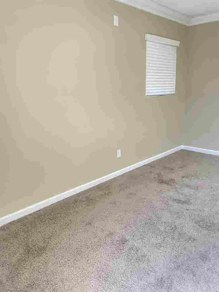 Private Room With Private entrance