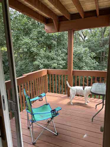 1 bedroom available