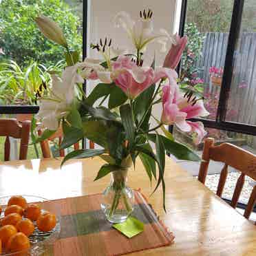 4 bedroom house at Bilgola Plateau